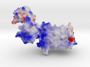 Histamine Receptor (H1) in Full Color Sandstone