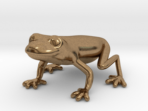 Red Eyed Tree Frog in Natural Brass