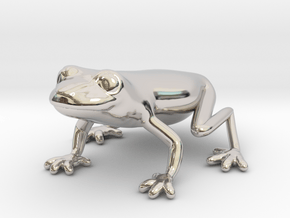 Red Eyed Tree Frog in Rhodium Plated Brass