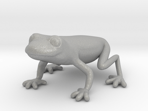 Red Eyed Tree Frog in Aluminum