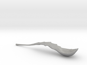 Spoon - leaf in Aluminum