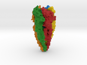 Nicotinic Acetylcholine Receptor in Full Color Sandstone