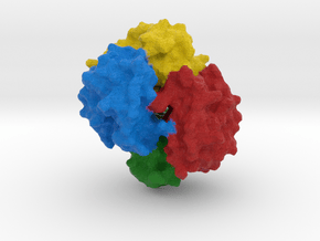 Hemoglobin ζ2 β2 in Full Color Sandstone
