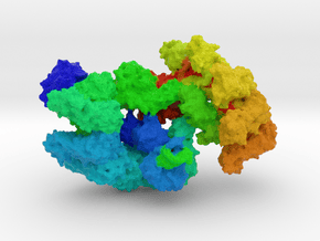 CRISPR-Associated Complex for Antiviral Defense in Full Color Sandstone