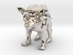 Wild Anicre in Rhodium Plated Brass: Large