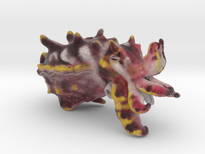 Flamboyant Cuttlefish in Full Color Sandstone