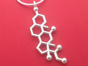 cortisol pendant  in Fine Detail Polished Silver