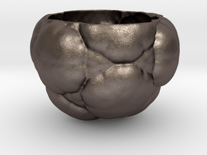 Fractal Flower Pot in Polished Bronzed Silver Steel