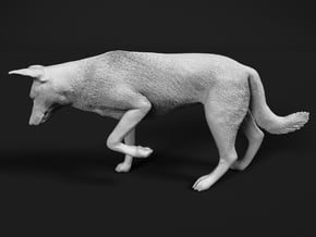 Saarloos Wolfdog 1:12 Female stalks small prey in White Natural Versatile Plastic