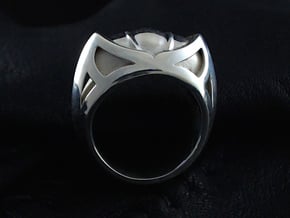 Mountain Lion Ring - Size 9 1/2 (19.35 mm) in Polished Silver