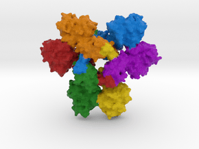 Ebola Nucleoprotein (NP) in Full Color Sandstone
