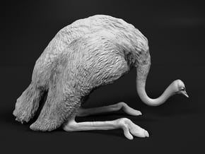 Ostrich 1:35 Guarding the Nest in White Natural Versatile Plastic