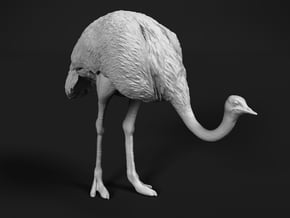 Ostrich 1:35 Head Down in White Natural Versatile Plastic