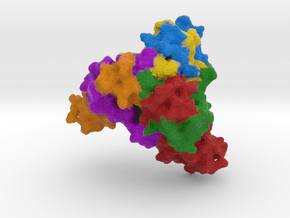 Ebola Glycoprotein in Full Color Sandstone