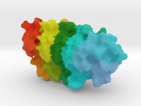 Ankyrin Adaptor Protein in Full Color Sandstone