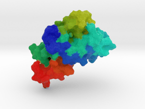 Human Prion Protein in Full Color Sandstone
