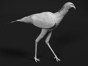 Secretarybird 1:48 Walking in Tan Fine Detail Plastic