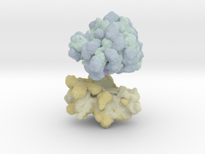Ribosome Magnet in Full Color Sandstone
