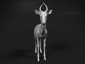 Impala 1:87 Male Juvenile in Smooth Fine Detail Plastic