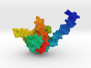 Nucleosome Assembly Protein in Full Color Sandstone