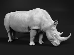 White Rhinoceros 1:16 Grazing Female in White Natural Versatile Plastic