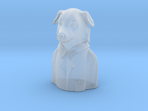 Border Collie Researcher Pandemic  in Smooth Fine Detail Plastic