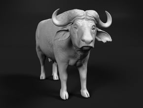 Cape Buffalo 1:20 Standing Male 1 in White Natural Versatile Plastic