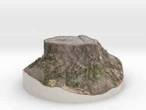 Tiny Tree Stump in Full Color Sandstone