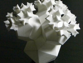 Rubenstein's Cactus in White Natural Versatile Plastic