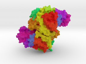 Citrate Synthase  in Full Color Sandstone