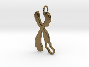 Chromosome Deletion Pendant in Polished Bronze