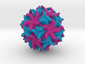 Partitivirus in Full Color Sandstone