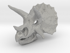 Triceratops Dinosaur Skull Pendant in Aluminum
