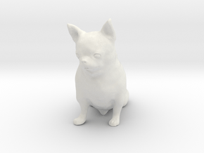 Scanned Chihuahua Dog -887 in White Natural Versatile Plastic