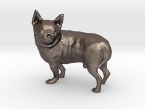 Scanned Chihuahua Dog -892 in Polished Bronzed Silver Steel