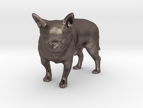 Scanned Chihuahua Dog -891 in Polished Bronzed Silver Steel