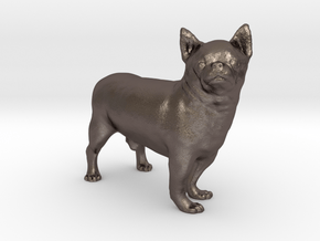 Scanned Chihuahua Dog -890 in Polished Bronzed Silver Steel