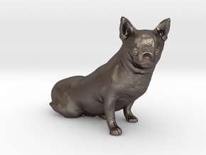 Scanned Chihuahua Dog -888 in Polished Bronzed Silver Steel