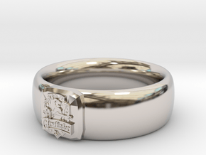 Gryffindor Pride Ring in Rhodium Plated Brass: 7 / 54