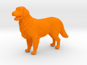 1/[24, 35] Golden Retriever Scale Model for Dioram in Orange Processed Versatile Plastic: 1:24