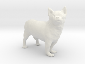 Scanned Chihuahua Dog -890 in White Natural Versatile Plastic
