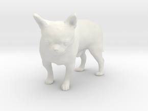 Scanned Chihuahua Dog -891 in White Natural Versatile Plastic