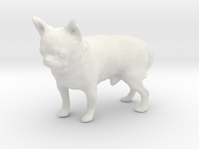 Scanned Chihuahua Dog -889 in White Natural Versatile Plastic