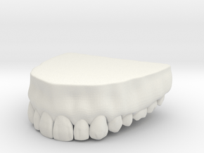 3D Teeth top in White Natural Versatile Plastic