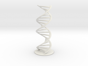 DNA schematic 45cm in White Natural Versatile Plastic
