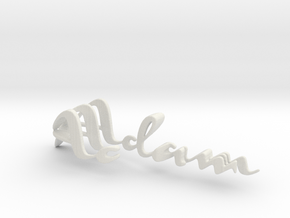 3dWordFlip: Adam/Eve in White Natural Versatile Plastic