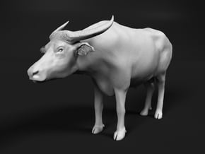 Domestic Asian Water Buffalo 1:24 Standing Male in White Natural Versatile Plastic