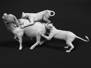 Cape Buffalo 1:48 Attacked by Lions in White Natural Versatile Plastic