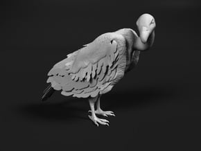 White-Backed Vulture 1:6 Standing 2 in White Natural Versatile Plastic
