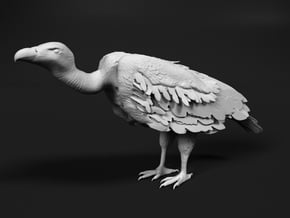 White-Backed Vulture 1:48 Standing 1 in Tan Fine Detail Plastic